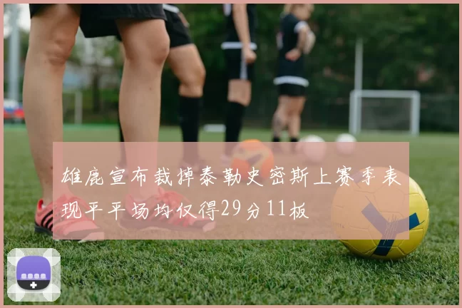 雄鹿宣布裁掉泰勒史密斯上赛季表现平平场均仅得29分11板