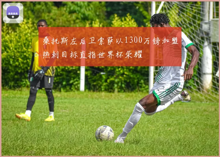桑托斯左后卫索萨以1300万镑加盟热刺目标直指世界杯荣耀