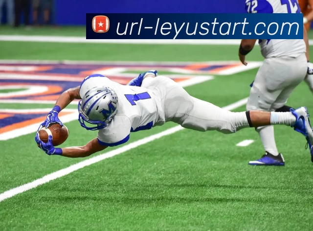 乐鱼体育发展历程